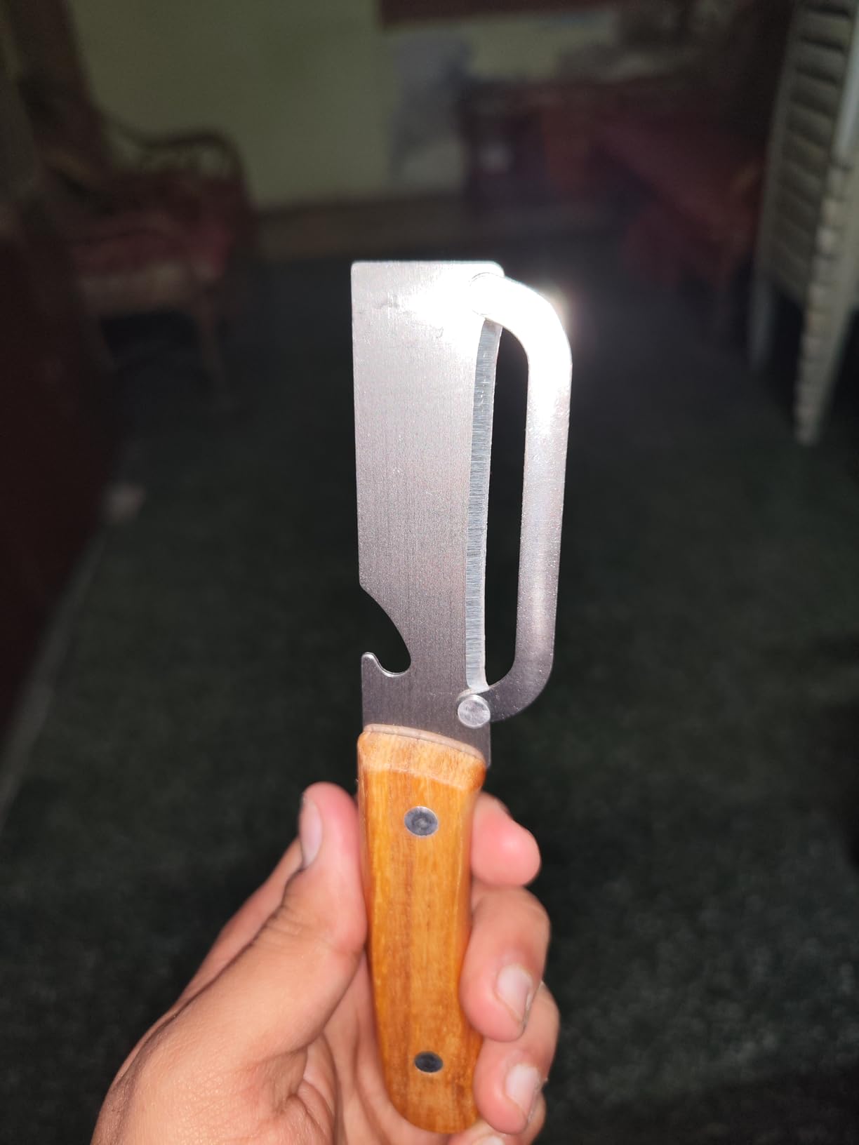 Hand holding a knife with a wooden handle against a blurred indoor background