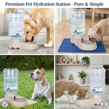 A 2x2 collage showing a pet hydration station in use by different dogs and a cat. The product is a beige automatic water dispenser with a large clear water bottle on top, shown on a tiled floor, a blue mat, grass, and indoors.