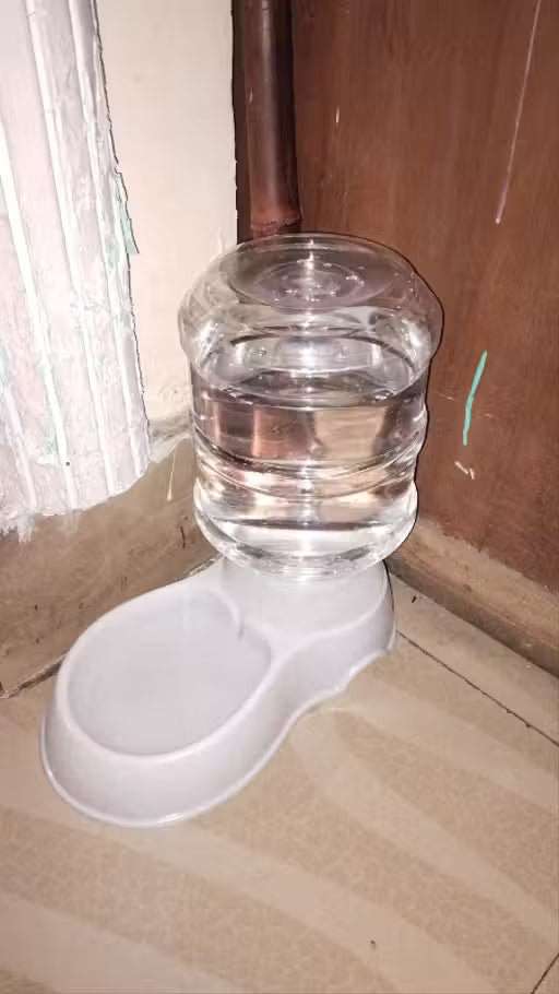A clear plastic water bottle feeder with a white plastic bowl base, shown filled with water in an indoor corner setting.