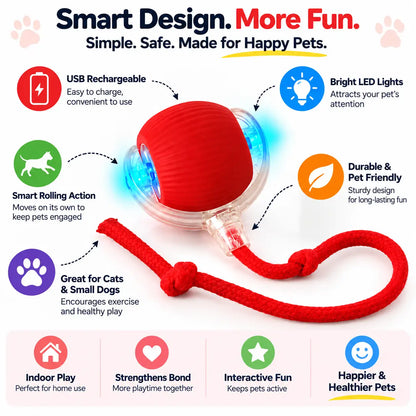 SmartLEDPetBallFunInfographic