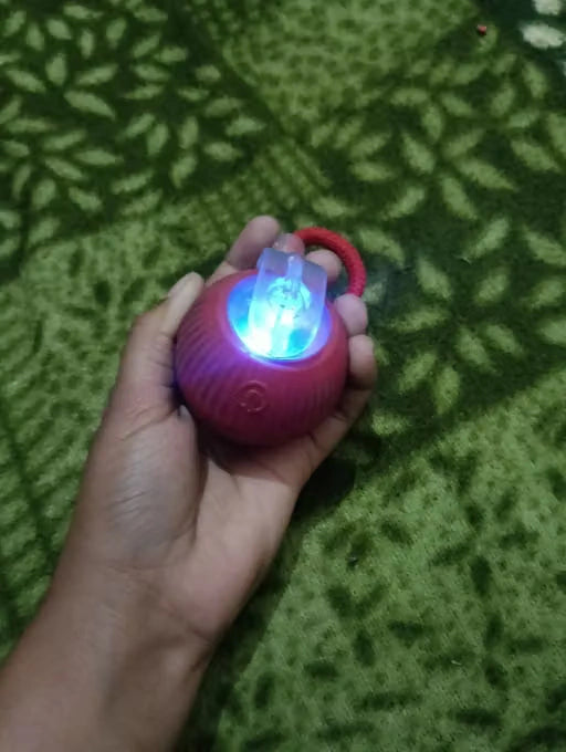 pet_toy_ball_review_1