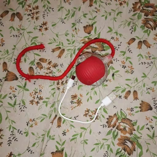 pet_toy_ball_review_2